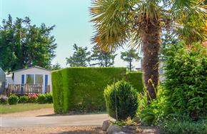 Camping Paimpol Bretagne