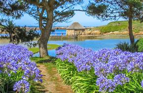 Camping Paimpol Bretagne