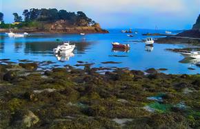 Camping Paimpol Bretagne