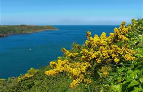 Camping Paimpol Bretagne