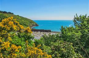 Camping Paimpol Bretagne