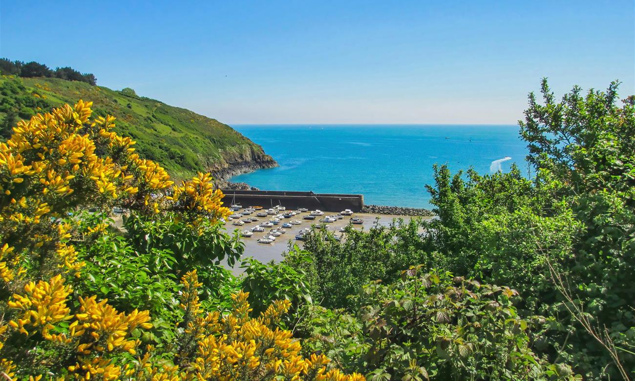 Camping Paimpol Bretagne