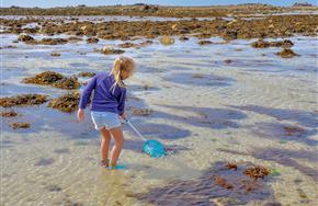 Camping Paimpol Bretagne