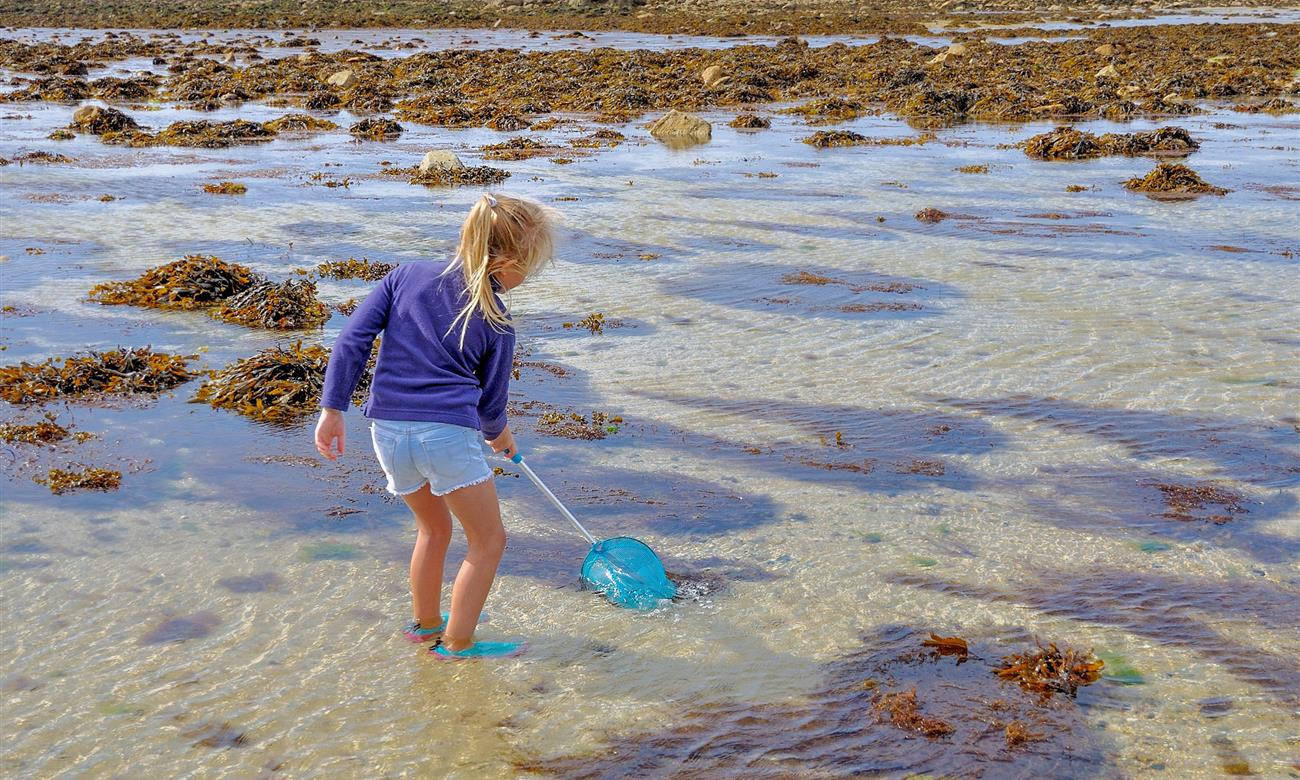 Camping Paimpol Bretagne