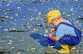 Camping Paimpol Bretagne