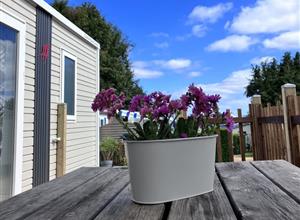 Camping Paimpol Bretagne